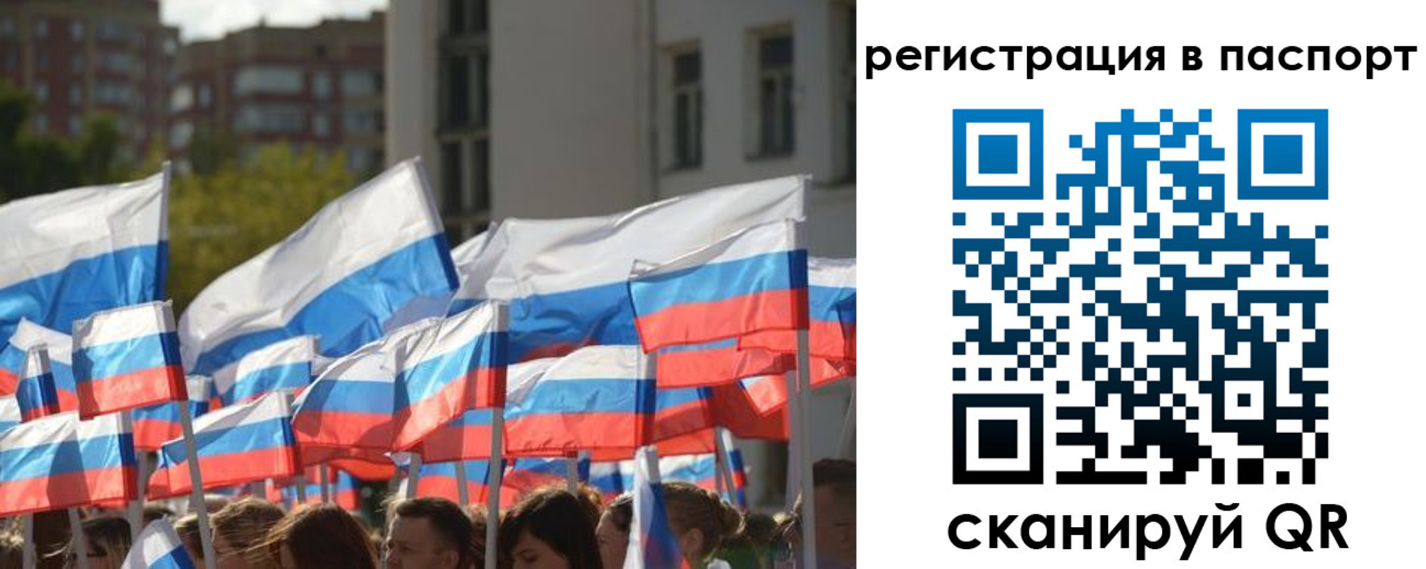 прописка законно в Александровске